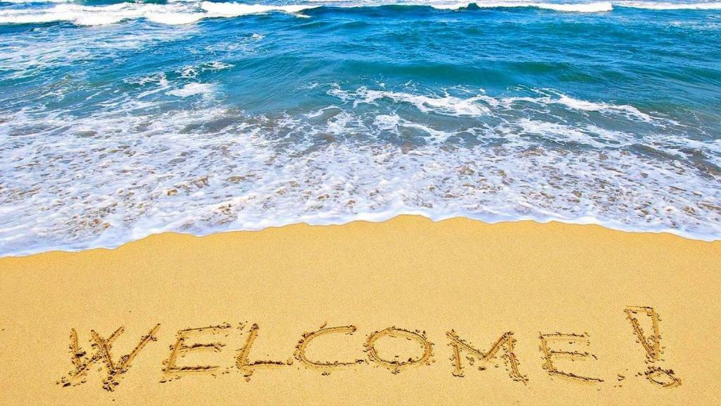 Vacation In Comfort And Luxury - 1 Bedroom Direct Oceanfront Wyndham Ocean Walk 1505 Daytona Beach Exteriör bild